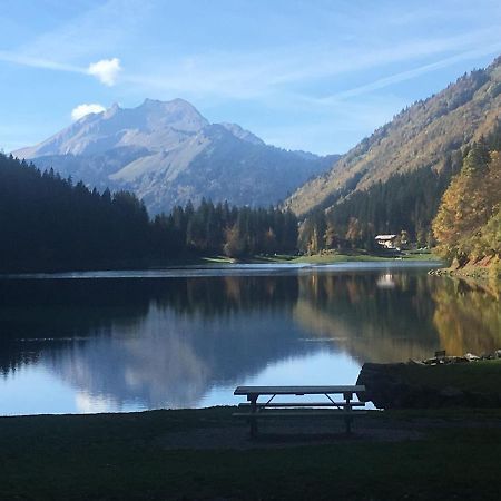 Apartment In Northern Alps With Skiing Nearby Les Gets Ngoại thất bức ảnh