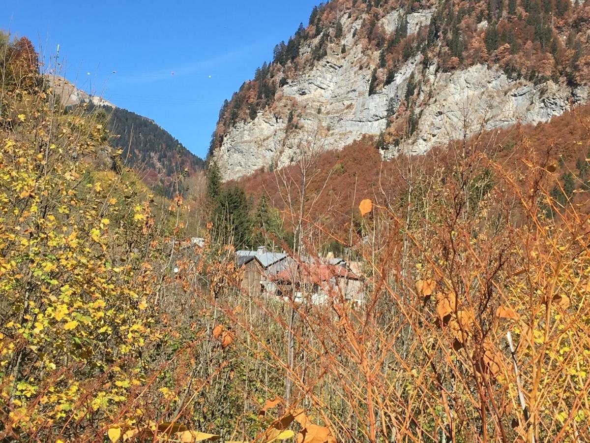 Apartment In Northern Alps With Skiing Nearby Les Gets Ngoại thất bức ảnh