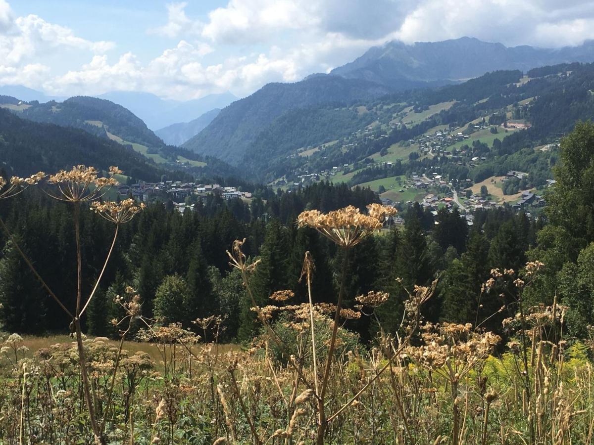 Apartment In Northern Alps With Skiing Nearby Les Gets Ngoại thất bức ảnh