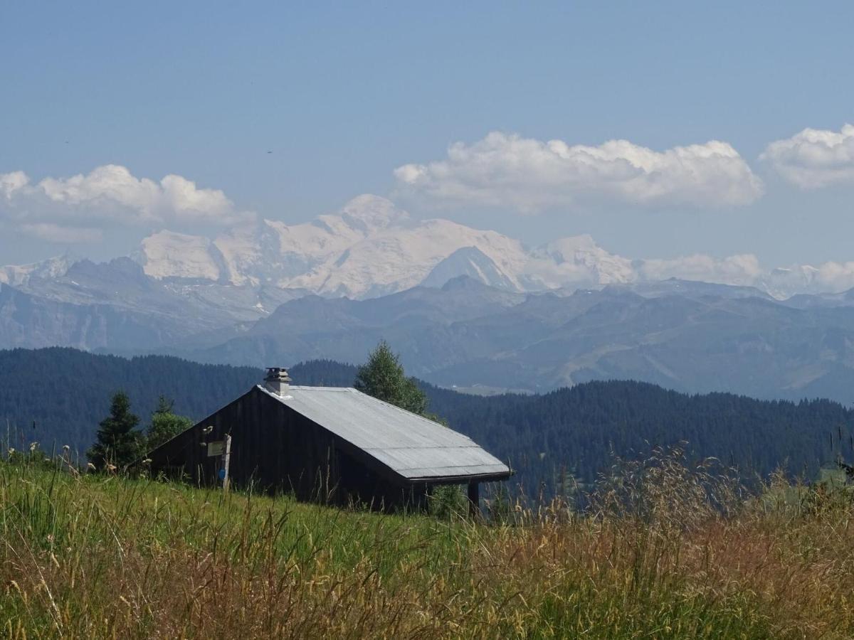 Apartment In Northern Alps With Skiing Nearby Les Gets Ngoại thất bức ảnh