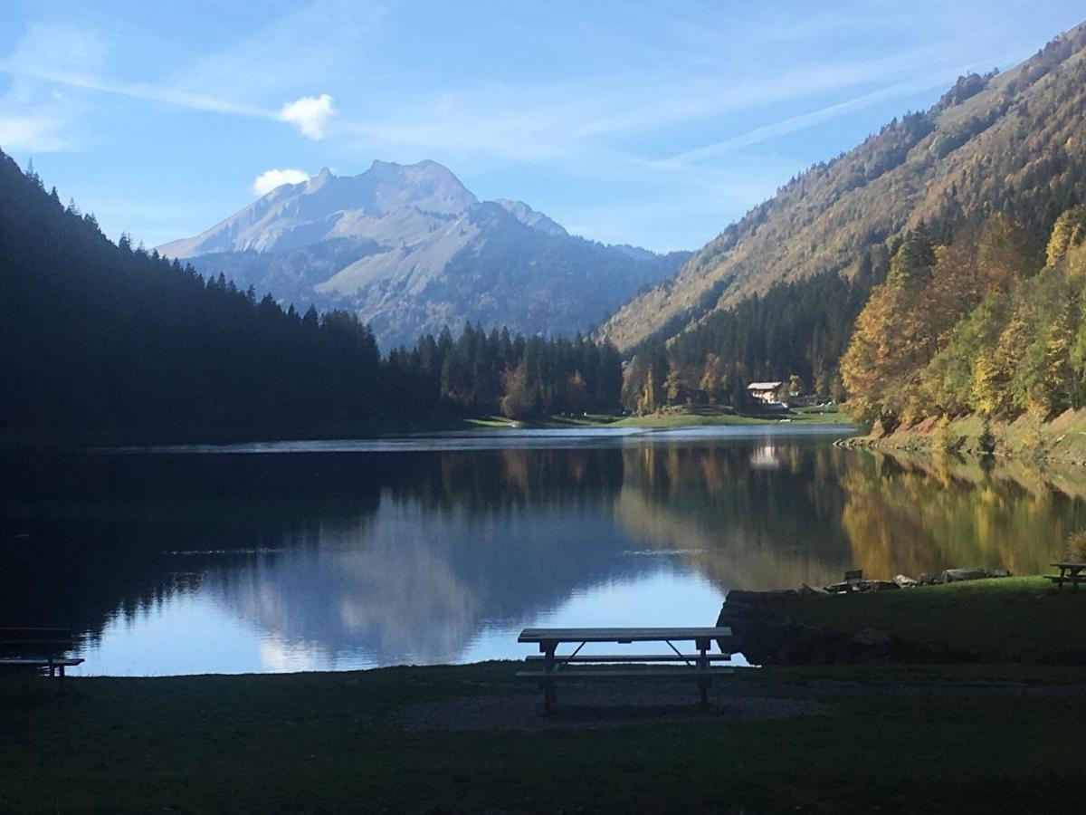 Apartment In Northern Alps With Skiing Nearby Les Gets Ngoại thất bức ảnh
