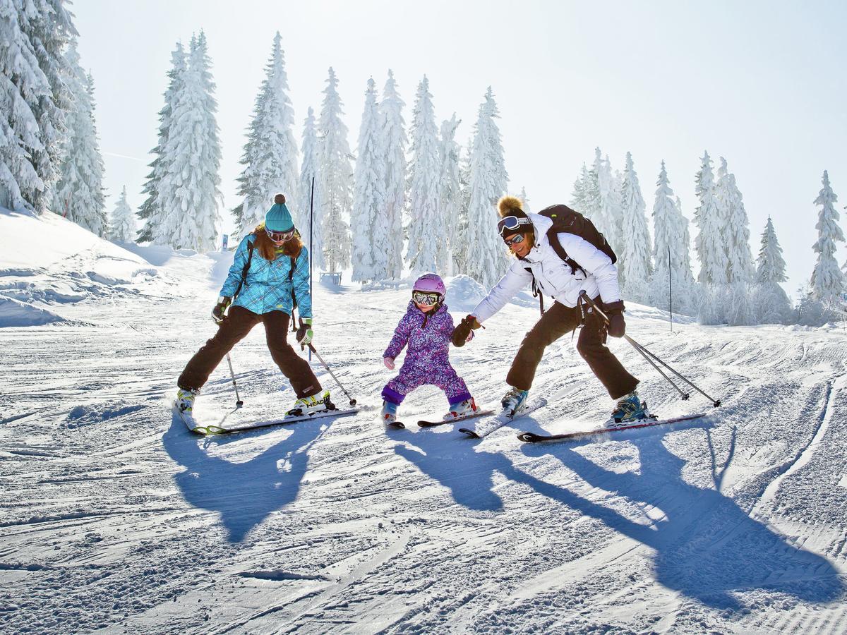 Apartment In Northern Alps With Skiing Nearby Les Gets Ngoại thất bức ảnh