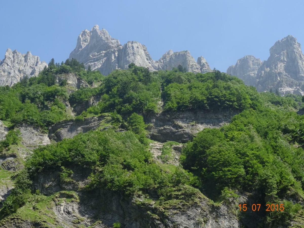 Apartment In Northern Alps With Skiing Nearby Les Gets Ngoại thất bức ảnh